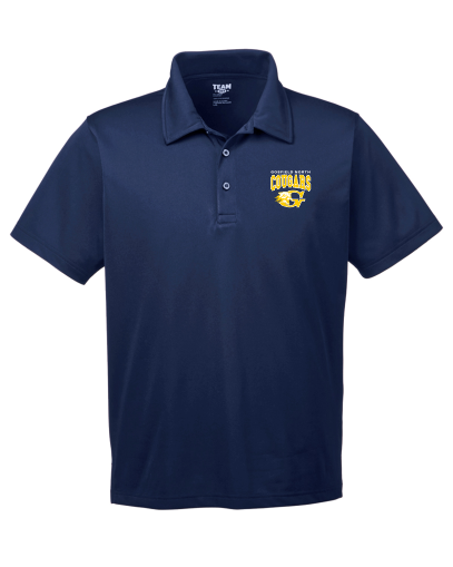 Gosfield - Polo